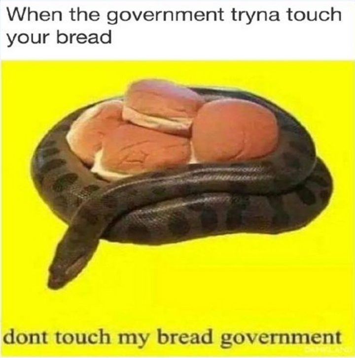 61 Funny Clean Memes - "When the government tryna touch your bread: Don't touch my bread government."