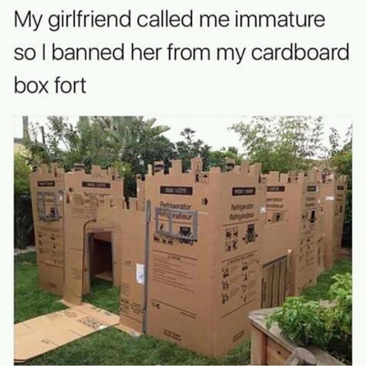 "My girlfriend called me immature so I banner her from my cardboard box fort."