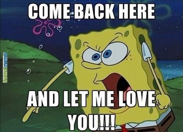 55 Love Memes - "Come back here and let me love you!!!"