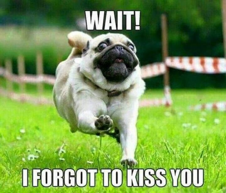 55 Love Memes - "Wait! I forgot to kiss you."