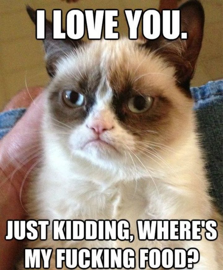 55 Love Memes - "I love you. Just kidding, where's my f***ing food?"