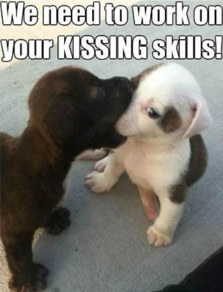 "We need to work on your KISSING skills!"