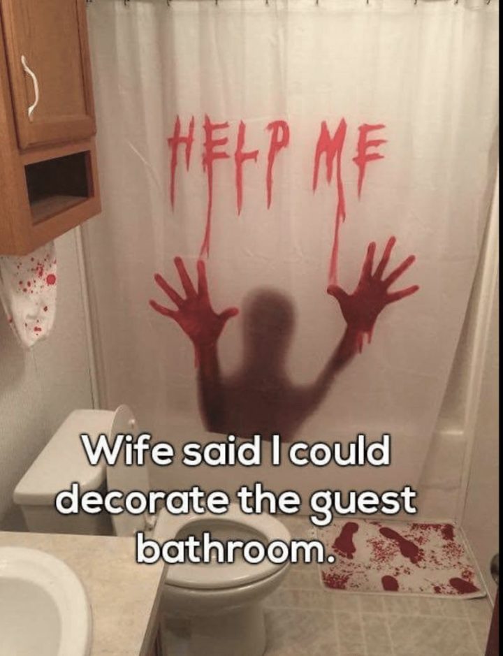 "Wife said I could decorate the guest bathroom. Help Me."