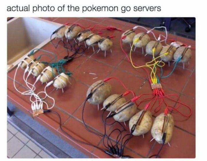 "Actual photo of the Pokémon Go servers."
