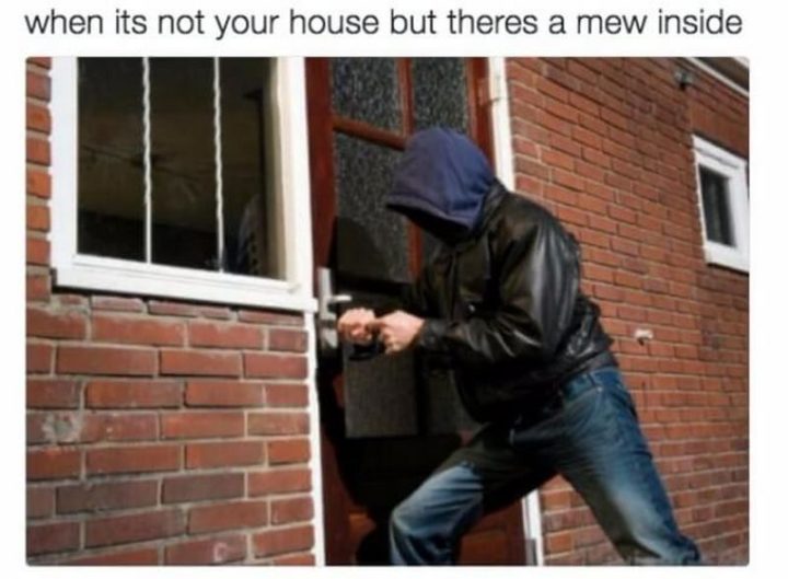 "When it's not your house but there's a Mew inside."
