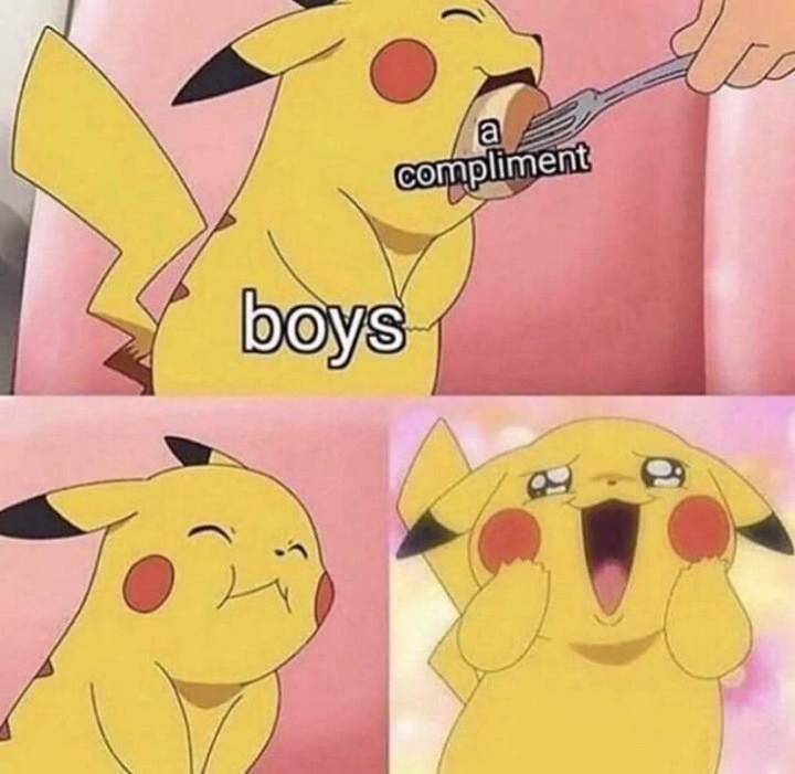 71 Pokémon memes - "A compliment. Boys."