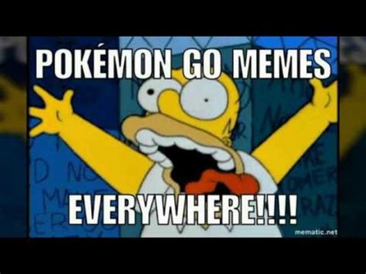 "Pokémon Go memes everywhere!!!!"