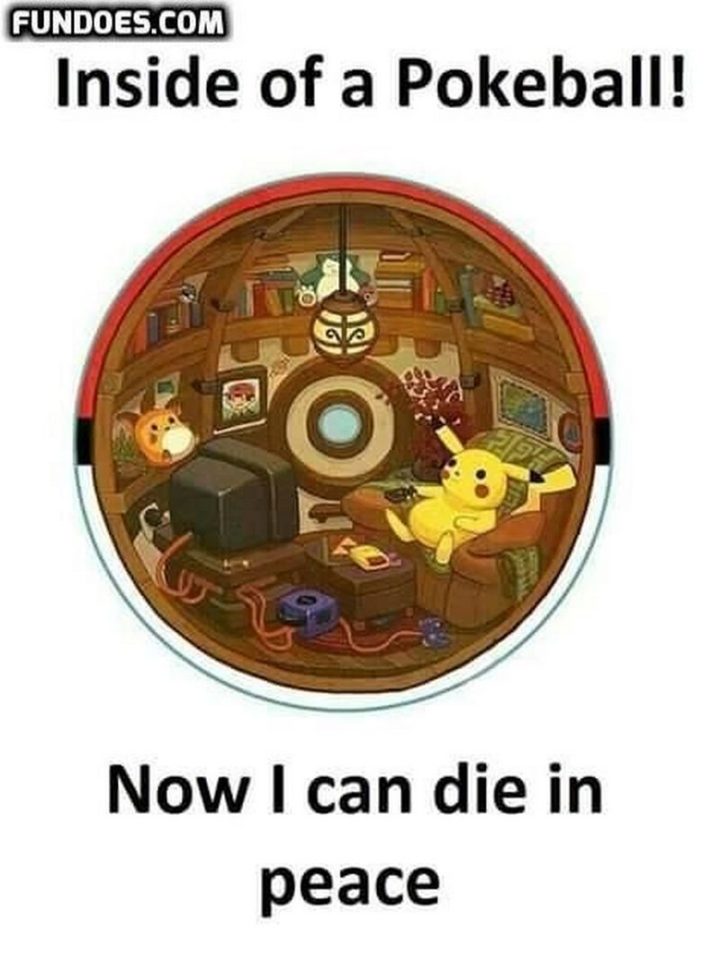 "Inside of a Pokeball! Now I can die in peace."