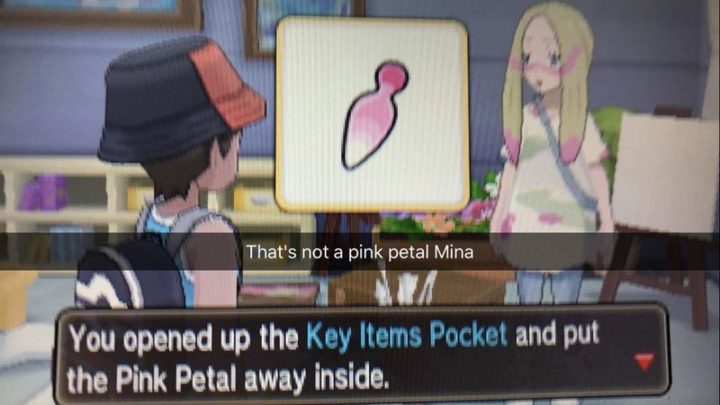 "You opened up the Key Items Pocket and put the Pink Petal away inside. That's not a pink petal Mina."