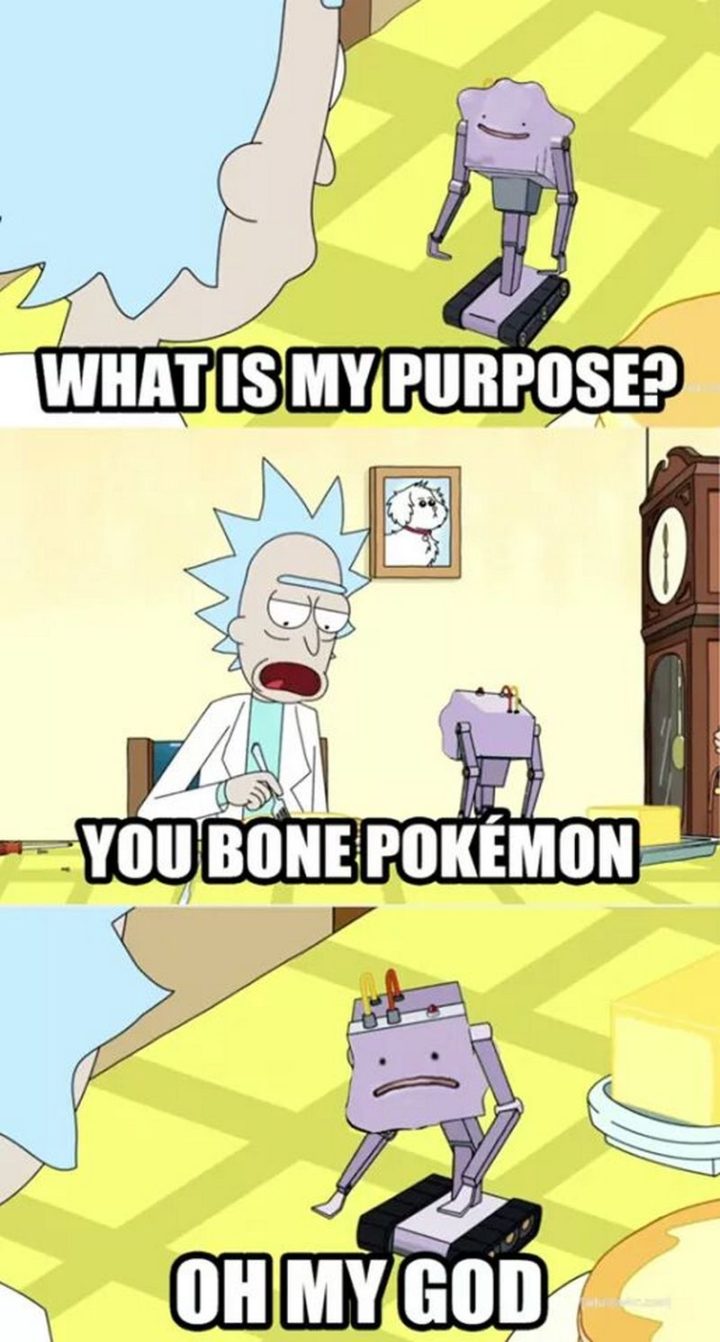 "What is my purpose? You bone Pokémon. Oh my God."