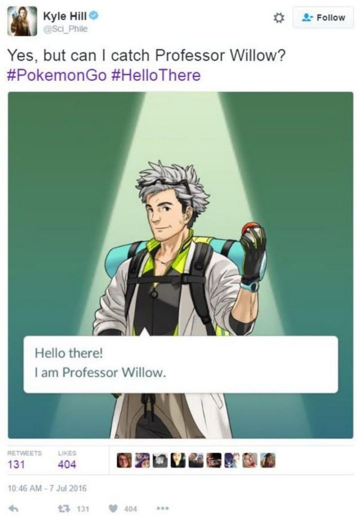 "Hello there! I am Professor Willow. Yes, but can I catch Professor Willow?"