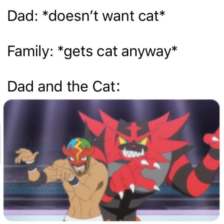 "Dad: *doesn't want cat* Family: *gets cat anyway* Dad and the cat:"