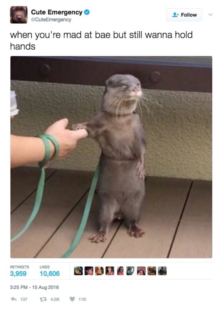 71 Relationship Memes - "When you're mad a bae but still wanna hold hands."