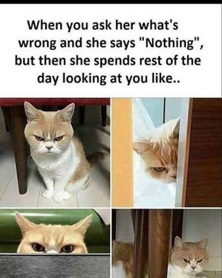 71 Relationship Memes - "When you ask her what's wrong and she says 'Nothing,' but then she spends the rest of the day looking at you like..."