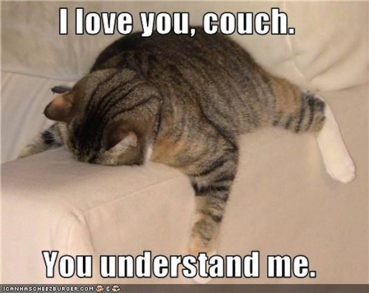"I love you, couch. You understand me."