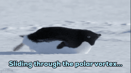 I hope you enjoyed these winter memes while sliding through the polar vortex!
