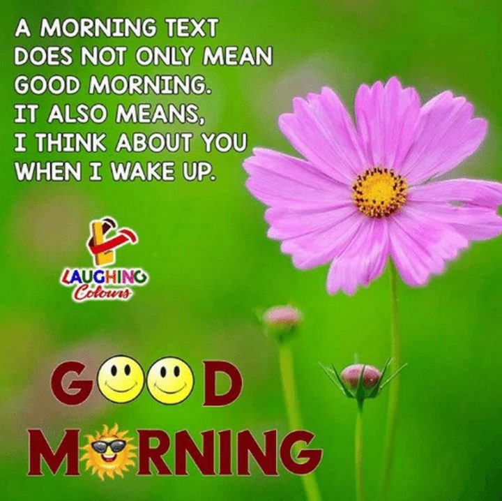 "A morning text does not only mean good morning. It also means I think about you when I wake up."