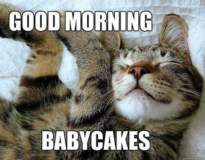 "Good morning babycakes."