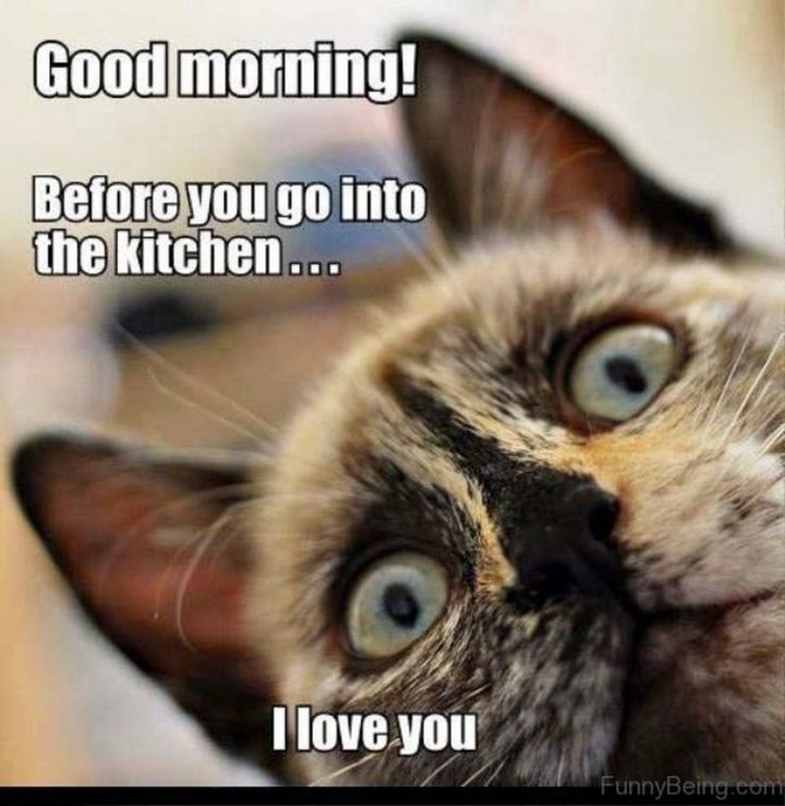 "Good morning! Before you go into the kitchen...I love you."