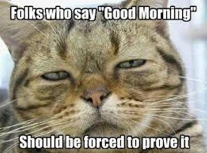 "Folks who say 'Good Morning' should be forced to prove it."