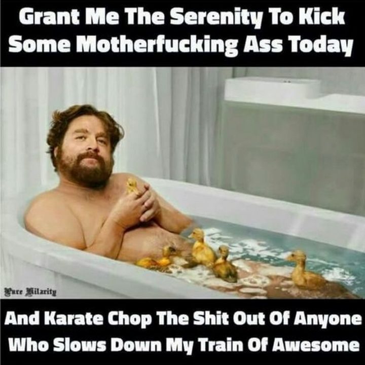 "Grant me the serenity to kick some motherf***ing @$$ today and karate chop the s**t out of anyone who slows down my train of awesome."