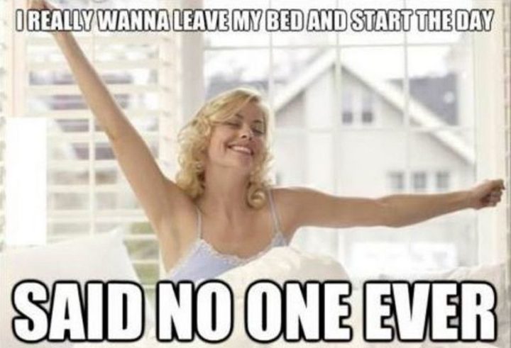 "I really wanna leave my bed and start the day...Said no one ever."