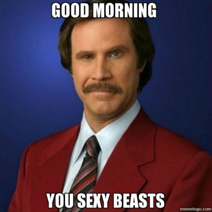 "Good morning you sexy beasts."