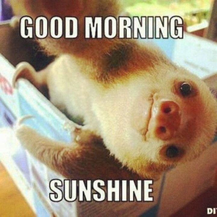 "Good morning sunshine."