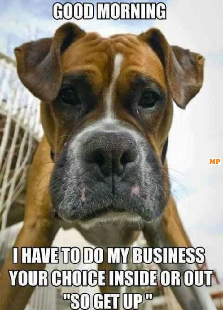 "Good morning. I have to do my business. Your choice inside or out 'so get up'."