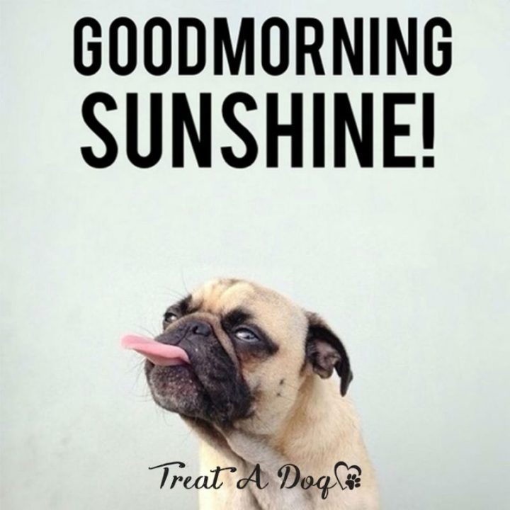"Good morning sunshine!"