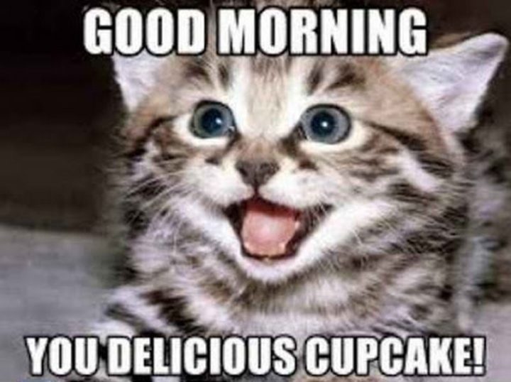 "Good morning you delicious cupcake!"