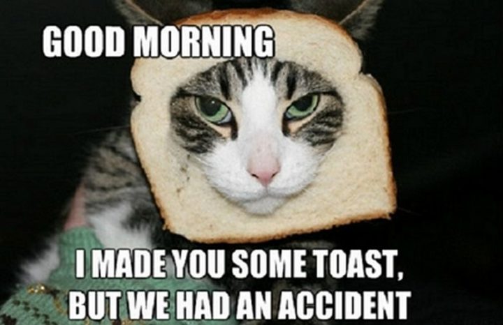 "Good morning. I made you some toast, but we had an accident."