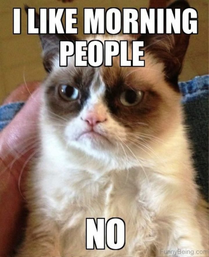 "I like morning people. No."