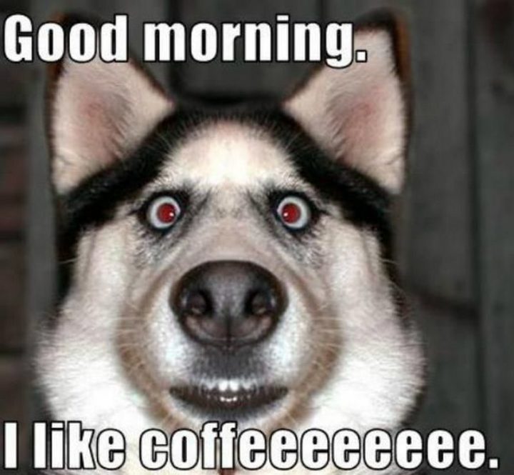 "Good morning. I like coffeeeeeeee."