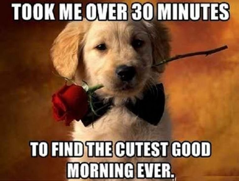 101 Good Morning Memes For Wishing a Beautiful Day To Him & Her