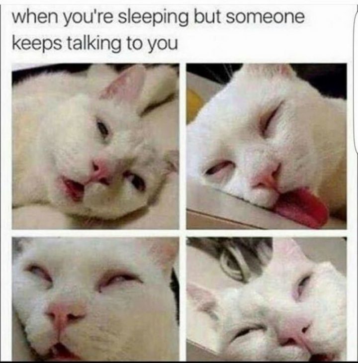 "When you're sleeping but someone keeps talking to you."