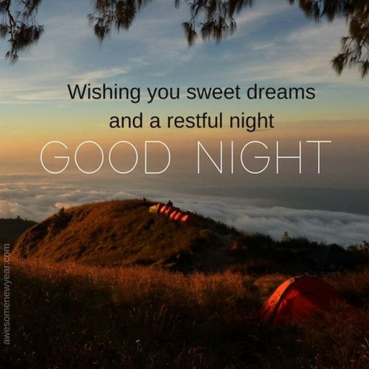 "Wishing you sweet dreams and a restful night. Good night."