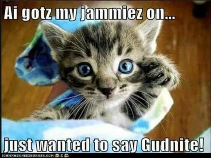 101 Good Night Memes - "Ai gotz my jammiez on...just wanted to say gudnite !""Ai gotz my jammiez on...just wanted to say gudnite!"