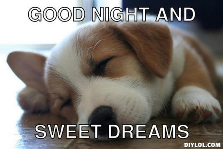 101 Gute Nacht Memes - "Gute Nacht und süße Träume.""Good night and sweet dreams."