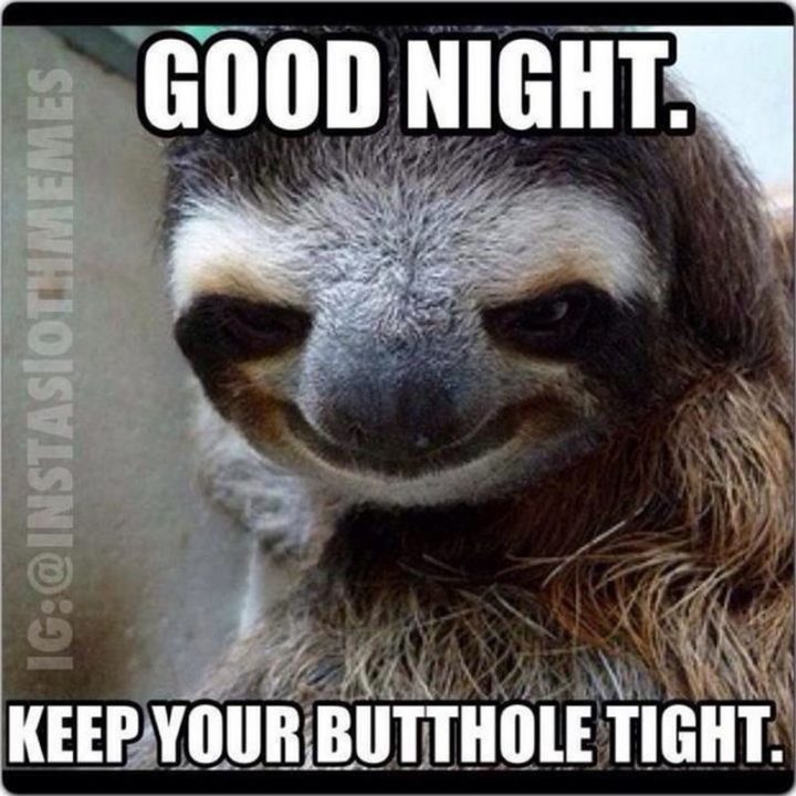 101 Gute-Nacht-Memes - "Gute Nacht. Halte dein Arschloch dicht.""Good night. Keep your butthole tight."