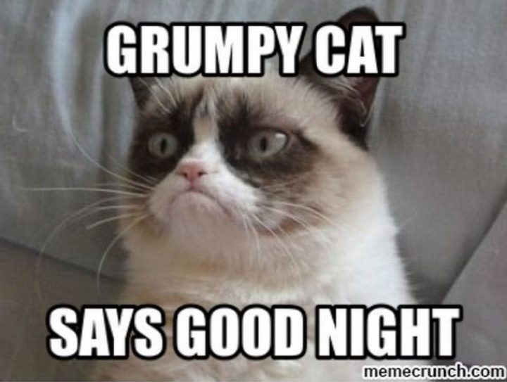 101 Good Night Memes - "Gato rabugento diz boa noite"""Grumpy cat says good night."