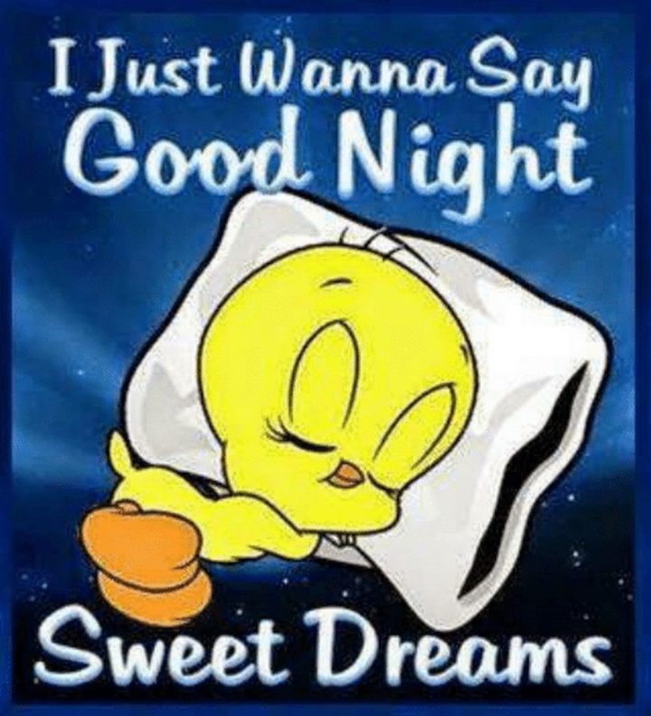 "I just wanna say good night, sweet dreams."