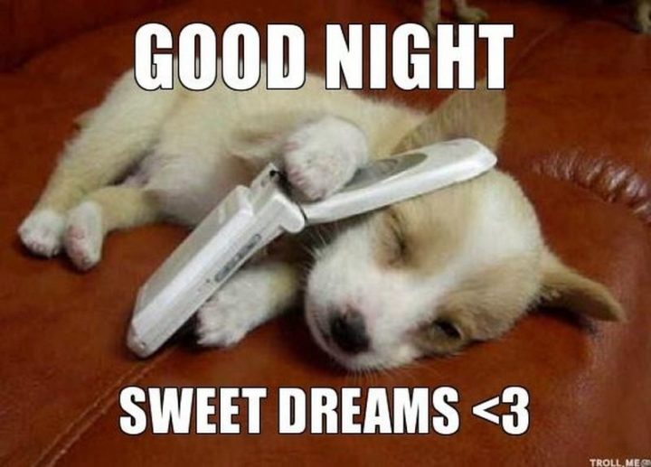 "Good night. Sweet dreams."