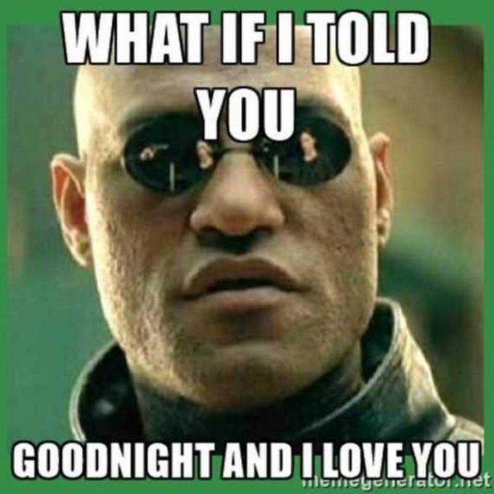 101 Gute-Nacht-Memes - "Was wäre, wenn ich dir gute Nacht sage und dich liebe.""What if I told you goodnight and I love you."