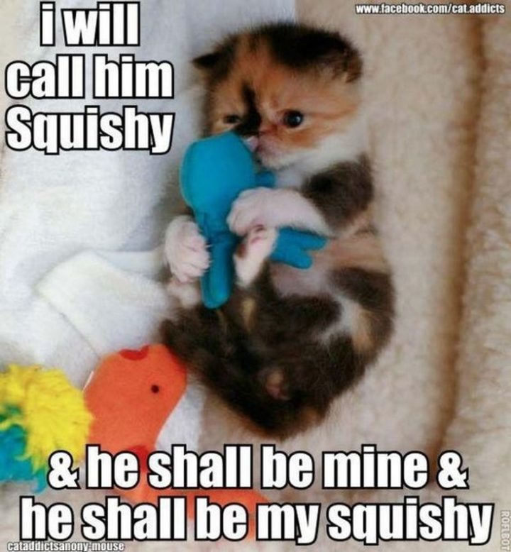 101 Gute-Nacht-Memes - "Ich werde ihn Squishy nennen und er soll mein sein und er soll mein Squishy sein.""I will call him Squishy and he shall be mine and he shall be my squishy."