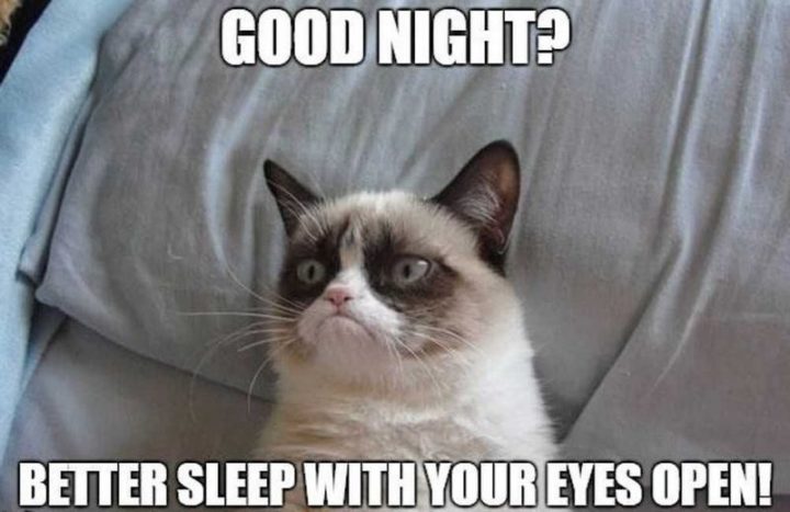 101 Memes de Boa Noite - "Boa noite? É melhor dormir com os olhos abertos!""Good night? Better sleep with your eyes open!"