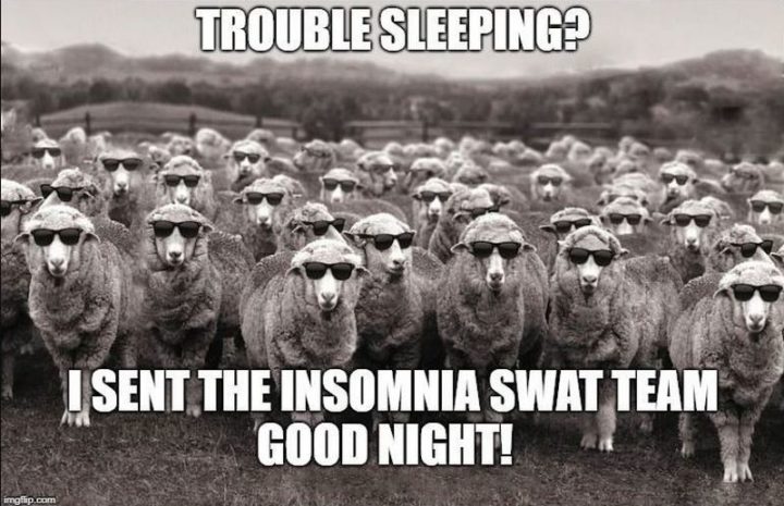 101 Gute-Nacht-Memes - "Probleme beim Schlafen? Ich habe das Schlaflosigkeits-Swat-Team geschickt. Gute Nacht!""Trouble sleeping? I sent the insomnia swat team. Good night!"