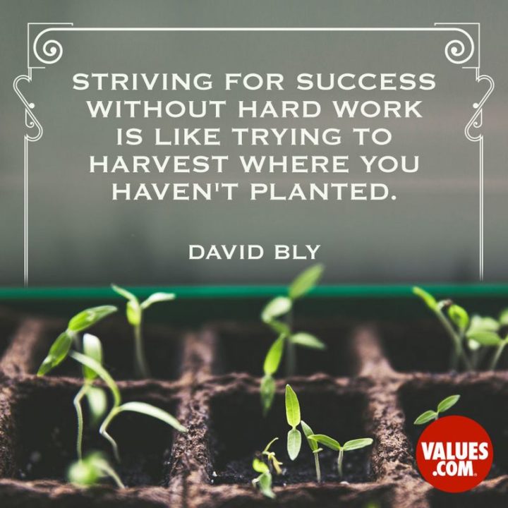 51 Hard Work Quotes - "Striving for success without hard work is like trying to harvest where you haven't planted." - David Bly
