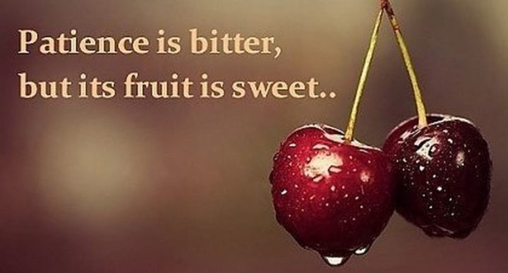39 Hope Quotes - "Patience is bitter, but its fruit is sweet." - Aristotle