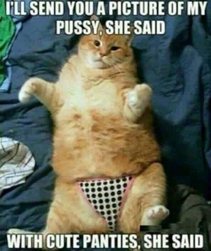 69 Sexy Adult Memes - "I'll send you a picture of my pussy, she said. With cute panties, she said."